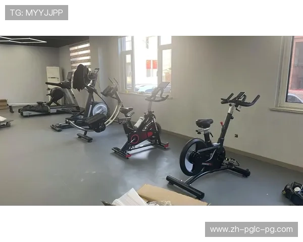 室内健身器材图片展示：各式健身器材图解