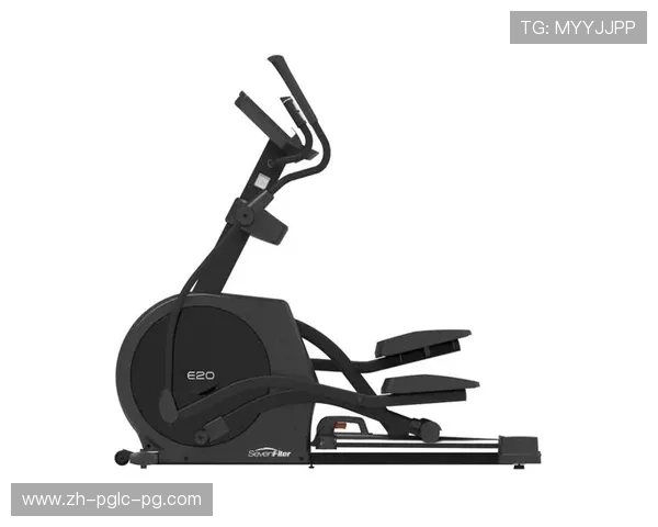 旋转平衡健身器材训练技巧及适用人群解析